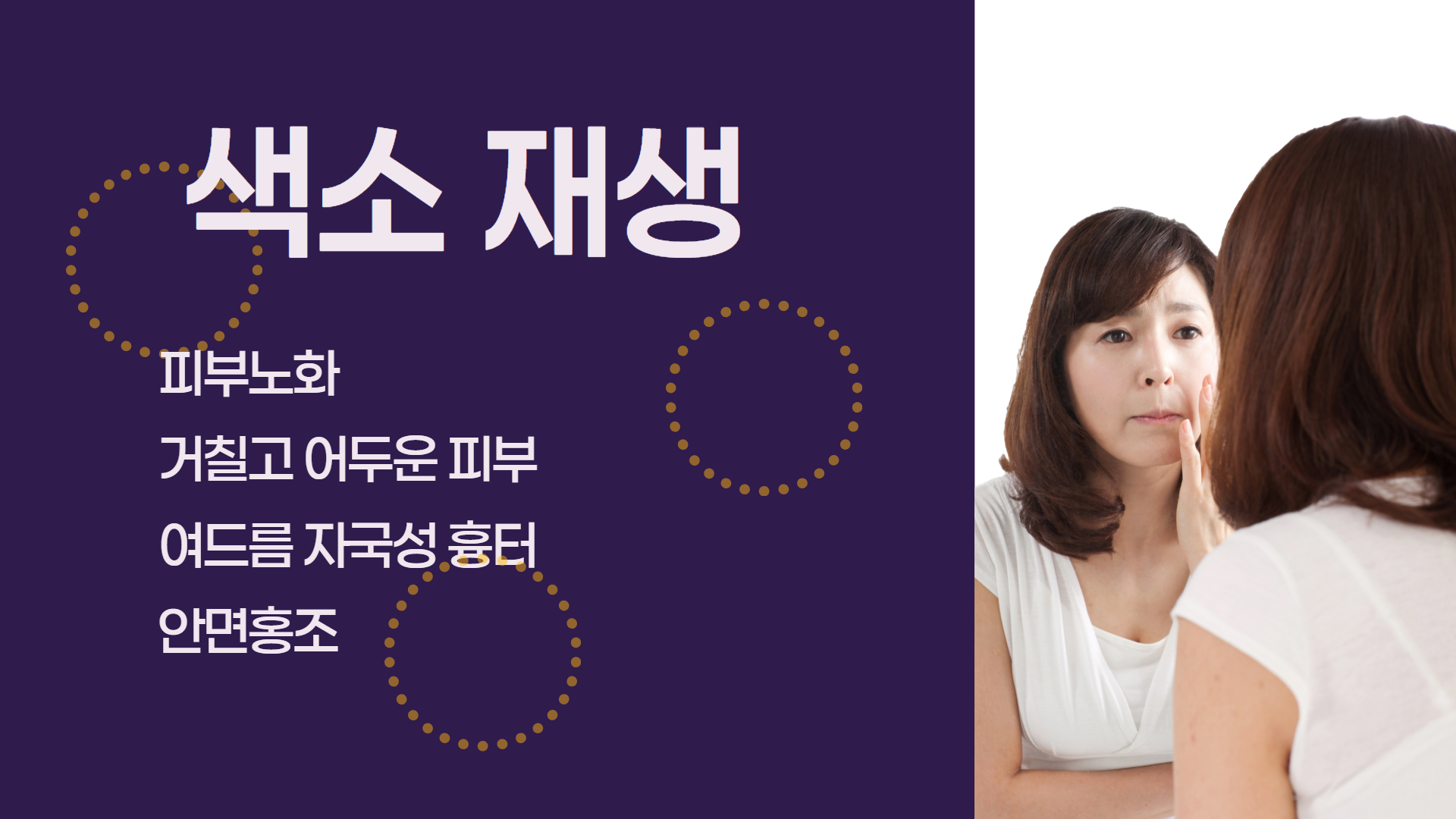 색소 재생 프로그램 안내